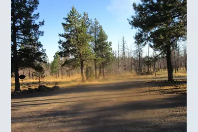 55820 Parazoo Trail, Bly, OR 97622 - Photo 41