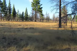 55820 Parazoo Trl, Bly, OR 97622 - Photo 45