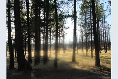 55820 Parazoo Trail, Bly, OR 97622 - Photo 39