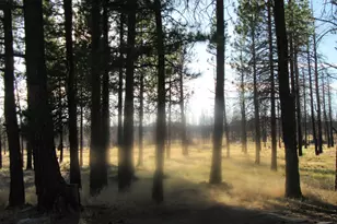 55820 Parazoo Trl, Bly, OR 97622 - Photo 39