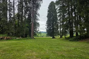 4340 State Hwy 38, Drain, OR 97435 - Photo 47