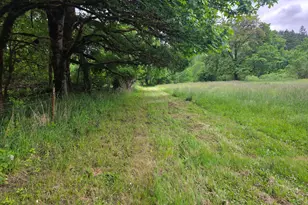 4340 State Hwy 38, Drain, OR 97435 - Photo 51