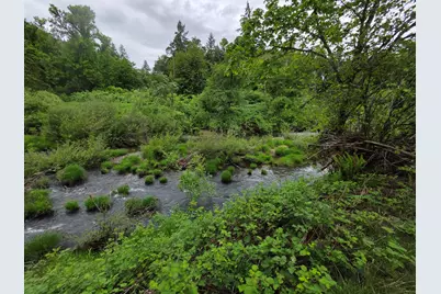 4340 State Hwy 38, Drain, OR 97435 - Photo 55