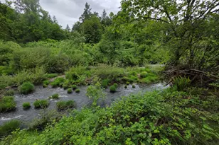 4340 State Hwy 38, Drain, OR 97435 - Photo 55