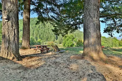 4240 Lake Shore Drive, Selma, OR 97538 - Photo 41