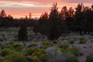 22310 Sweetgrass Dr, Bend, OR 97702 - Photo 7