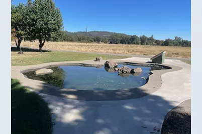 377 Pelton Lane, Gold Hill, OR 97525 - Photo 5