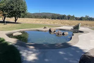 377 Pelton Ln, Gold Hill, OR 97525 - Photo 5