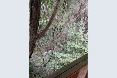 377 Pelton Lane, Gold Hill, OR 97525 - Photo 71