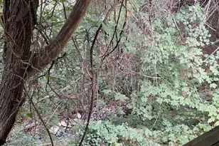 377 Pelton Ln, Gold Hill, OR 97525 - Photo 71