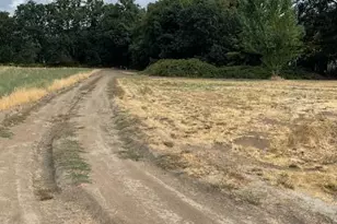 377 Pelton Ln, Gold Hill, OR 97525 - Photo 79