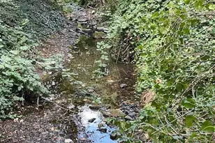 377 Pelton Ln, Gold Hill, OR 97525 - Photo 73