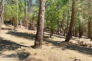 939 Beaver Creek Rd, Jacksonville, OR 97530 - Photo 53