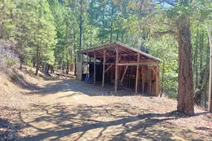 939 Beaver Creek Rd, Jacksonville, OR 97530 - Photo 51