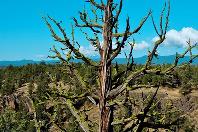 65255 Swalley Road, Bend, OR 97703 - Photo 21