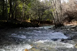 8843 Deer Creek Rd, Selma, OR 97538 - Photo 51