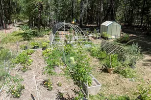 8843 Deer Creek Rd, Selma, OR 97538 - Photo 45