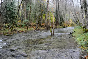 8843 Deer Creek Rd, Selma, OR 97538 - Photo 53