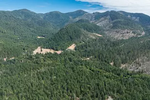 8843 Deer Creek Rd, Selma, OR 97538 - Photo 63