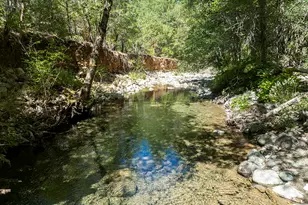 8843 Deer Creek Rd, Selma, OR 97538 - Photo 55