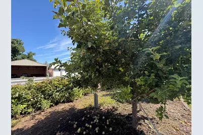 547 SW Bear Drive, Madras, OR 97741 - Photo 115