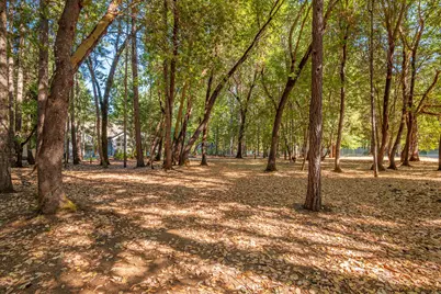 341 Sugar Pine Drive, Merlin, OR 97532 - Photo 55