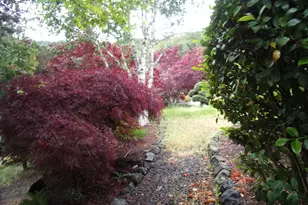 115 Duane Ct, Myrtle Creek, OR 97457 - Photo 27