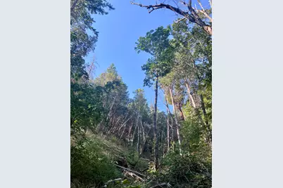 Timberlake Drive #391E25 132, Ashland, OR 97520 - Photo 11