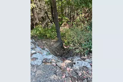 Timberlake Drive #391E25 132, Ashland, OR 97520 - Photo 15