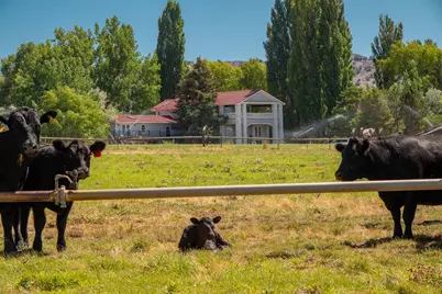 59047 Old Lake Road, Christmas Valley, OR 97641 - Photo 63