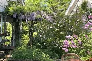 1100 McMullen Creek Rd, Selma, OR 97538 - Photo 15