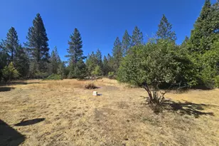 5280 Rockydale Rd, Cave Junction, OR 97523 - Photo 15