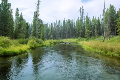 19128 Fred Lane, Crescent Lake, OR 97733 - Photo 11
