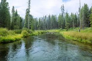 19128 Fred Ln, Crescent Lake, OR 97733 - Photo 11