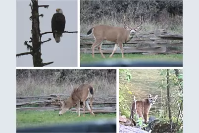 2871 Cobleigh Road, Eagle Point, OR 97524 - Photo 7