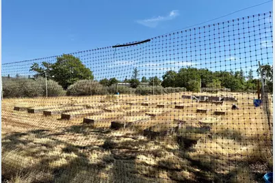 3659 Highway 234, White City, OR 97503 - Photo 7