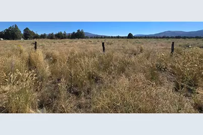 3138 Sheep Mountain Road, Macdoel, CA 96058 - Photo 25