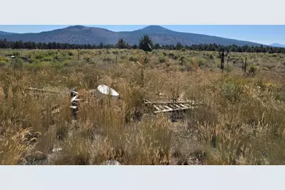 3138 Sheep Mountain Road, Macdoel, CA 96058 - Photo 13