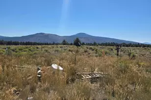 3138 Sheep Mountain Rd, Macdoel, CA 96058 - Photo 13