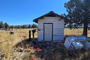 3138 Sheep Mountain Rd, Macdoel, CA 96058 - Photo 33