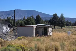 3138 Sheep Mountain Rd, Macdoel, CA 96058 - Photo 19