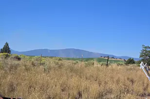 3138 Sheep Mountain Rd, Macdoel, CA 96058 - Photo 29