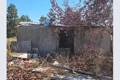 3138 Sheep Mountain Road, Macdoel, CA 96058 - Photo 15