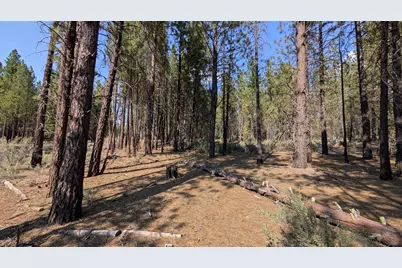 Green Forest Drive #2, 3, Chiloquin, OR 97624 - Photo 1