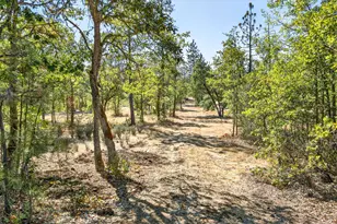 23159 Hwy 62, Shady Cove, OR 97539 - Photo 13