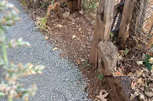 206 Lower Wolf Creek Rd, Wolf Creek, OR 97497 - Photo 21