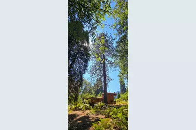 206 Lower Wolf Creek Road, Wolf Creek, OR 97497 - Photo 19