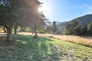 1913 Wards Creek Rd, Rogue River, OR 97537 - Photo 31