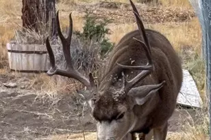 16270 SW Canyon View Pl, Terrebonne, OR 97760 - Photo 57