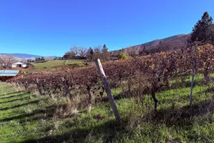 202 Pleasant View Rd, Talent, OR 97540 - Photo 61